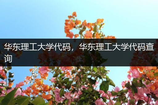 华东理工大学代码，华东理工大学代码查询
