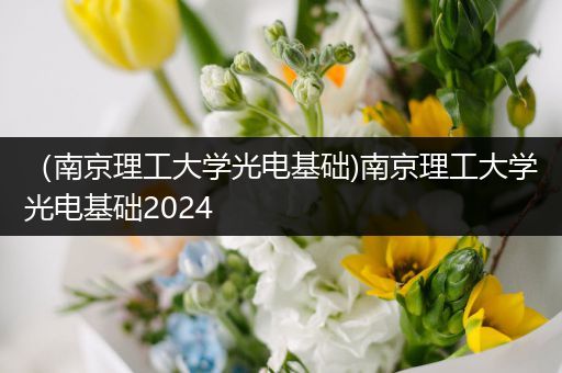 （南京理工大学光电基础)南京理工大学光电基础2024
