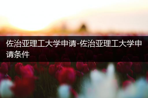 佐治亚理工大学申请-佐治亚理工大学申请条件