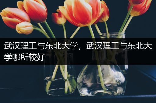 武汉理工与东北大学，武汉理工与东北大学哪所较好