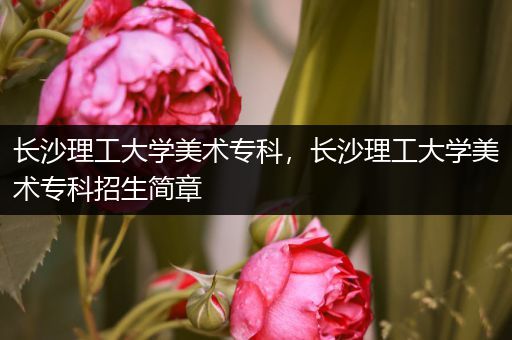 长沙理工大学美术专科，长沙理工大学美术专科招生简章
