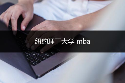 纽约理工大学 mba