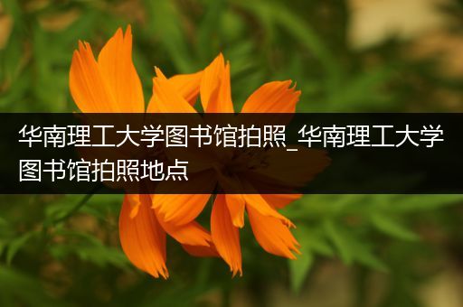 华南理工大学图书馆拍照_华南理工大学图书馆拍照地点