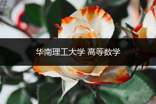 华南理工大学 高等数学