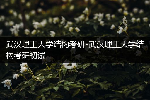 武汉理工大学结构考研-武汉理工大学结构考研初试
