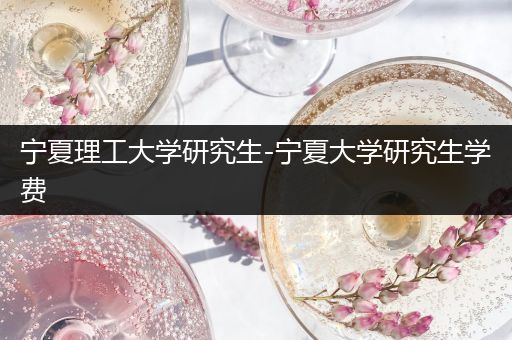 宁夏理工大学研究生-宁夏大学研究生学费