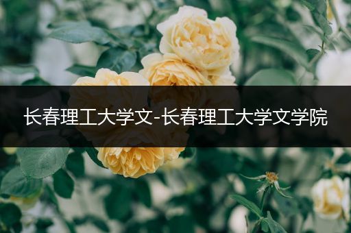长春理工大学文-长春理工大学文学院