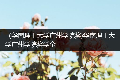 （华南理工大学广州学院奖)华南理工大学广州学院奖学金
