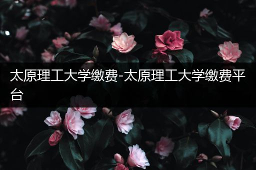 太原理工大学缴费-太原理工大学缴费平台