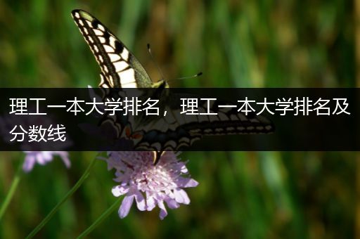 理工一本大学排名，理工一本大学排名及分数线