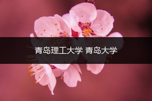 青岛理工大学 青岛大学