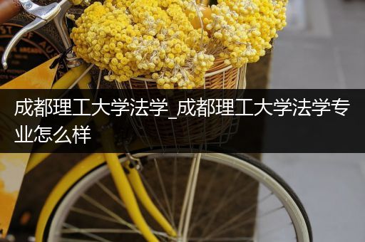 成都理工大学法学_成都理工大学法学专业怎么样