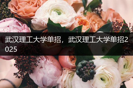 武汉理工大学单招，武汉理工大学单招2025