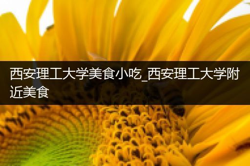 西安理工大学美食小吃_西安理工大学附近美食