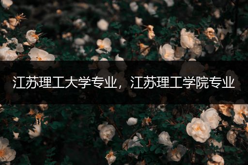 江苏理工大学专业，江苏理工学院专业