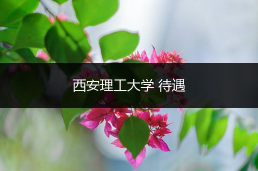 西安理工大学 待遇