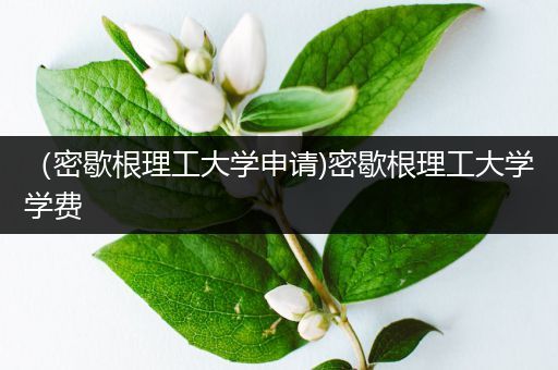（密歇根理工大学申请)密歇根理工大学学费
