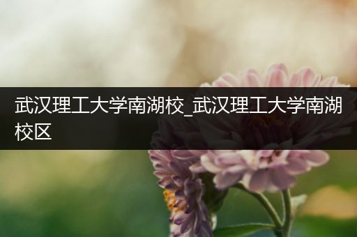武汉理工大学南湖校_武汉理工大学南湖校区