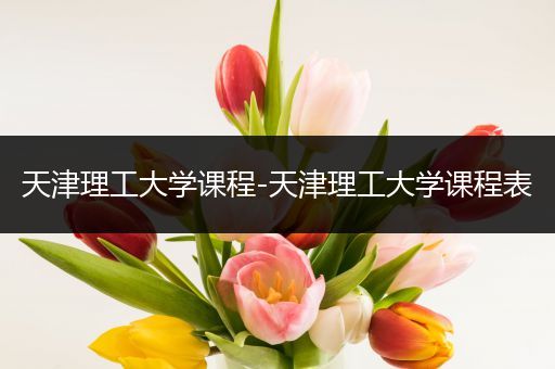 天津理工大学课程-天津理工大学课程表