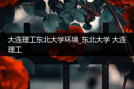 大连理工东北大学环境_东北大学 大连理工