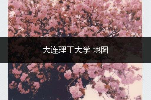 大连理工大学 地图