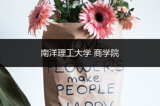 南洋理工大学 商学院