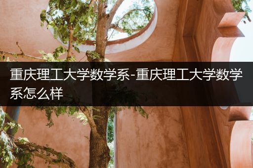 重庆理工大学数学系-重庆理工大学数学系怎么样
