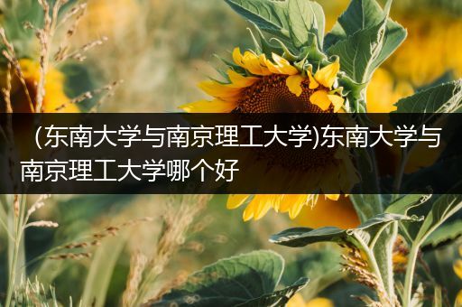 （东南大学与南京理工大学)东南大学与南京理工大学哪个好