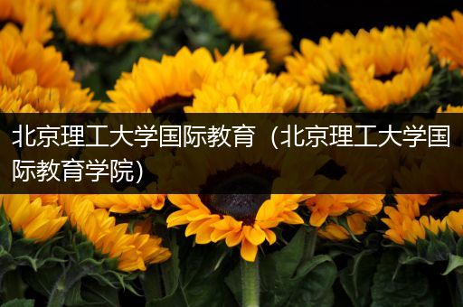 北京理工大学国际教育（北京理工大学国际教育学院）