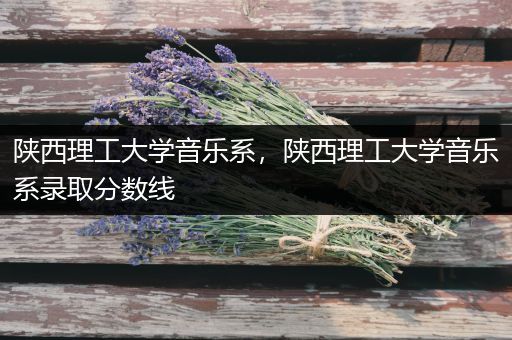 陕西理工大学音乐系，陕西理工大学音乐系录取分数线