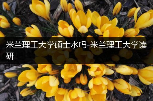 米兰理工大学硕士水吗-米兰理工大学读研
