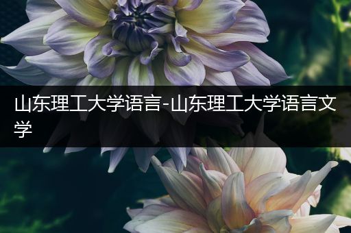 山东理工大学语言-山东理工大学语言文学
