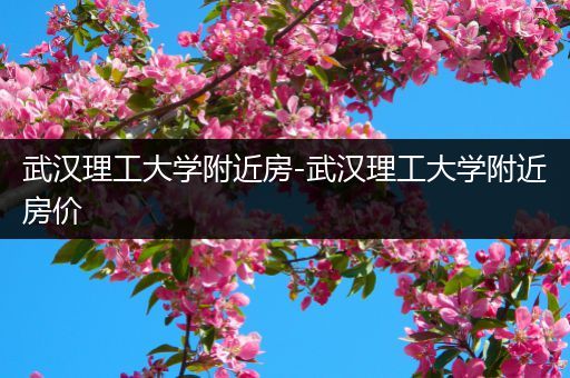 武汉理工大学附近房-武汉理工大学附近房价