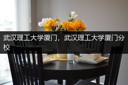 武汉理工大学厦门，武汉理工大学厦门分校