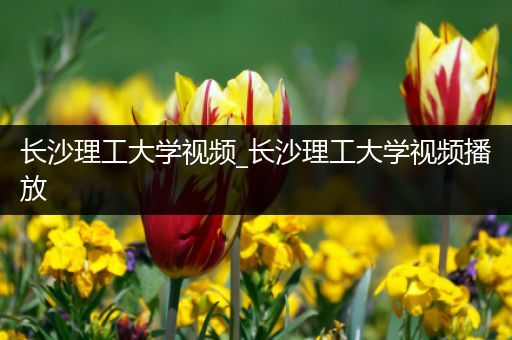 长沙理工大学视频_长沙理工大学视频播放