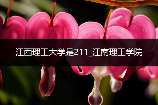 江西理工大学是211_江南理工学院
