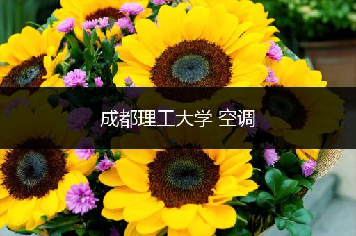 成都理工大学 空调