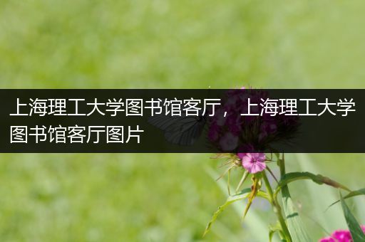 上海理工大学图书馆客厅，上海理工大学图书馆客厅图片