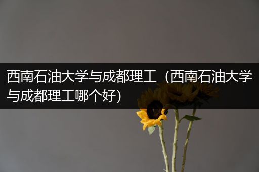 西南石油大学与成都理工（西南石油大学与成都理工哪个好）