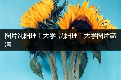 图片沈阳理工大学-沈阳理工大学图片高清