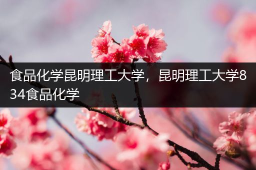 食品化学昆明理工大学，昆明理工大学834食品化学