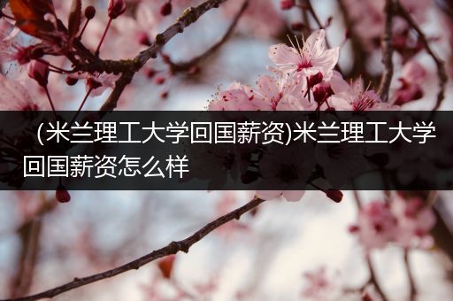 （米兰理工大学回国薪资)米兰理工大学回国薪资怎么样