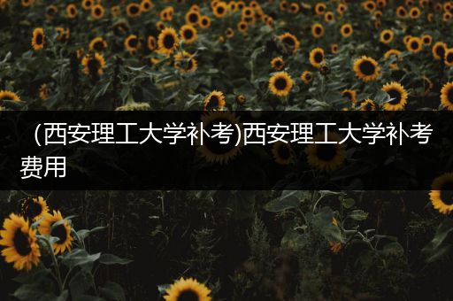 （西安理工大学补考)西安理工大学补考费用