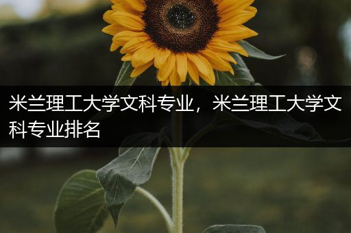 米兰理工大学文科专业，米兰理工大学文科专业排名