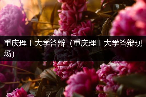 重庆理工大学答辩（重庆理工大学答辩现场）