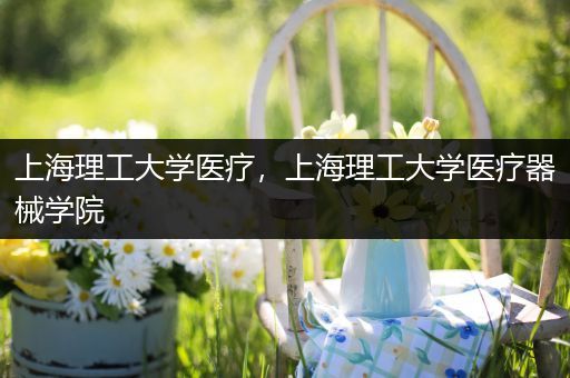 上海理工大学医疗，上海理工大学医疗器械学院