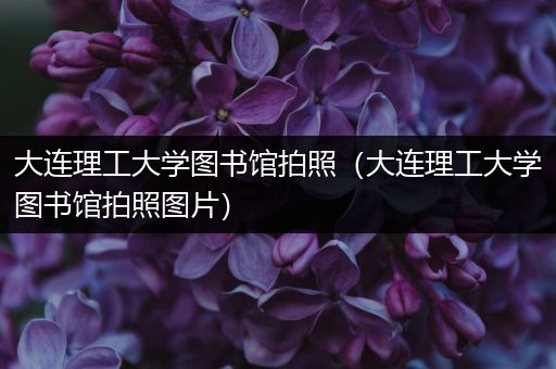 大连理工大学图书馆拍照（大连理工大学图书馆拍照图片）
