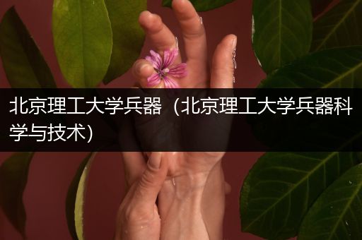 北京理工大学兵器（北京理工大学兵器科学与技术）