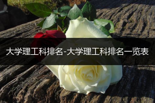 大学理工科排名-大学理工科排名一览表