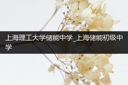 上海理工大学储能中学_上海储能初级中学